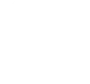 Fond speaker blanc La Voix Formation