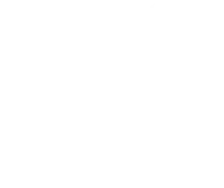 Fond graphique blanc speaker La Voix Formation